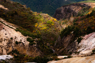 A Spotlight on Autumn Foliage in a Valley of Mount Zao © Photoscape