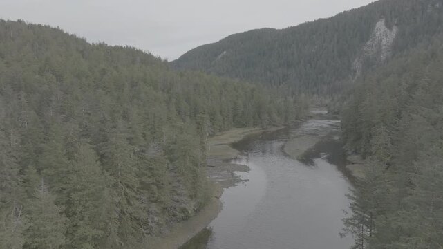 Drone flight above shallow forest river under cloudy gray sky