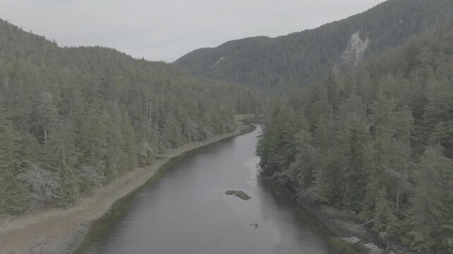 River Winding Through a Dense Evergreen Forest Valley &mdash; Aerial