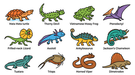 Collection of Diverse Animals and Dinosaurs © elsa