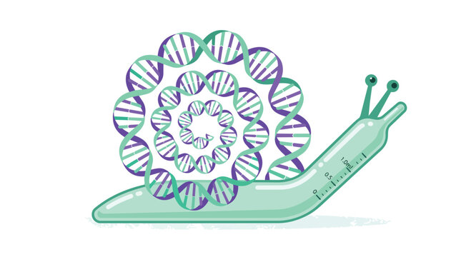 Genetic dna snail shell concept representing evolutionary biology and genomic research in a modern flat vector illustration for life science and biotechnology educational platforms