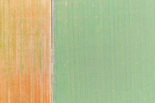 Aerial view of agricultural fields with a distinct boundary between orange and green crops in Emilia Romagna, Italy.
