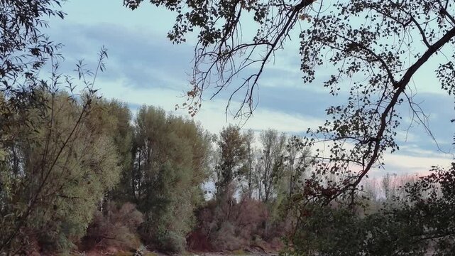 Scenic video of Rott Island on the Rhine River near Linkenheim-Hochstetten in Baden-W&uuml;rttemberg, Germany. 