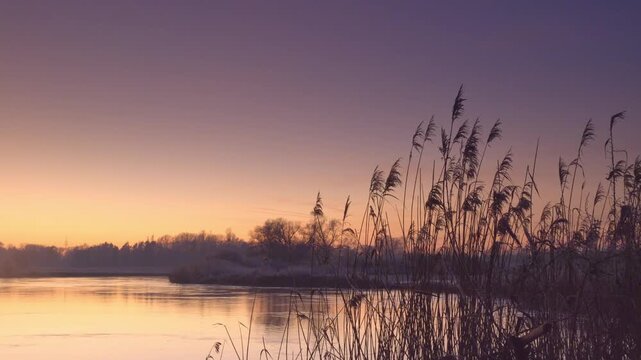 View of the river Leine at sunset, winter, snow, ice, frost, cold, season, cosy, panorama, landscape photo, nature photo, flora, fauna, landscape format, willow, grasses, flat land, sky, clouds, suns