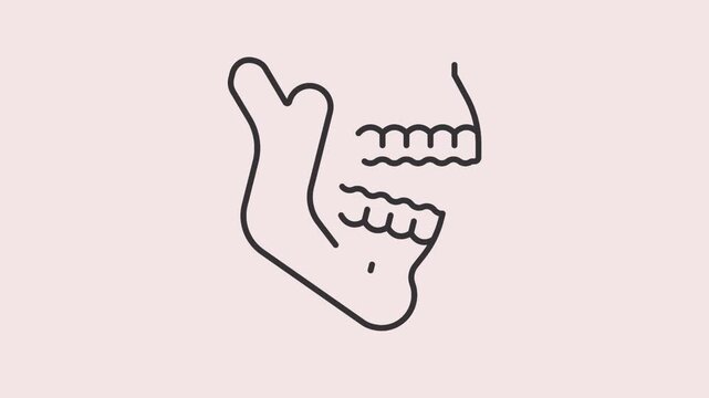 Dental Jaw and Teeth Line Icon Animation for Oral Anatomy and Dentistry