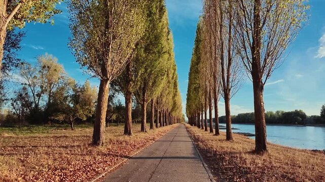 Scenic video of Rott Island on the Rhine River near Linkenheim-Hochstetten in Baden-W&uuml;rttemberg, Germany. 