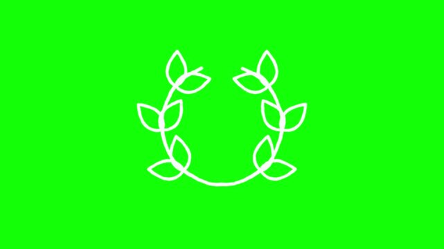 Hand drawn white laurel wreath with six pairs of leaves along an open ring and empty center, ring drawn first then leaves, hold and erase loop on flat solid green screen background, chroma key