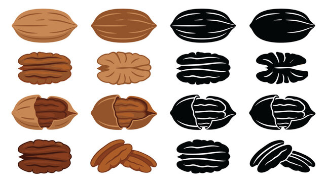 Set of vector pecan nut arranged in a row, featuring both classic filled designs and simple line art outlines, isolated on a white background for healthy food logos