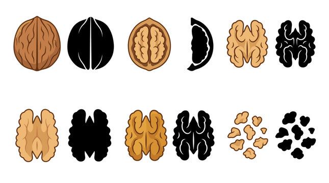 Set of vector walnut arranged in a row, featuring both classic filled designs and simple line art outlines, isolated on a white background for healthy food logos