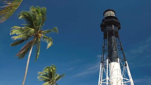 lighthouse with palm trees and blue sky