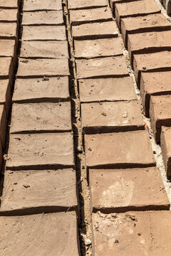 View of mud bricks drying in the sun, arranged in neat rows on the ground in Charasa, Ladakh, India.
