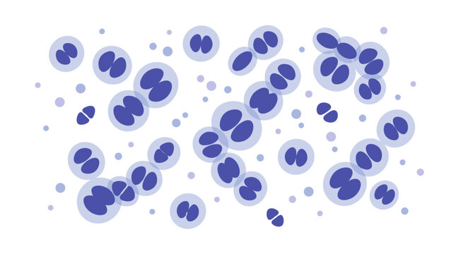 Microscopic bacteria cells illustration on white background