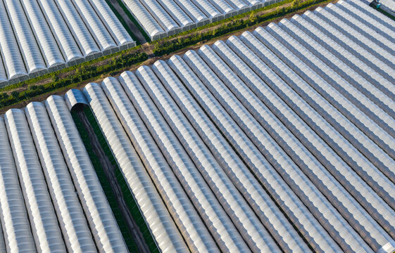 Aerial view of extensive commercial greenhouse farming structures arranged in long parallel rows across the landscape in Choczewo, Pomeranian Voivodeship, Poland.