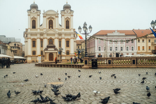 View of the historic St. George's Cathedral in the cobblestone Piata Unirii square with pigeons in the foreground in Timisoara, Timis, Romania.