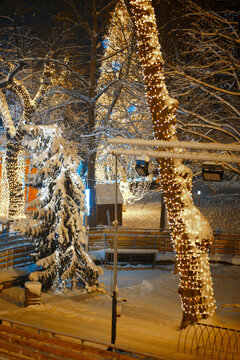 View of snow-covered trees decorated with festive Christmas lights in the city park of Sremska Mitrovica, Vojvodina, Serbia.