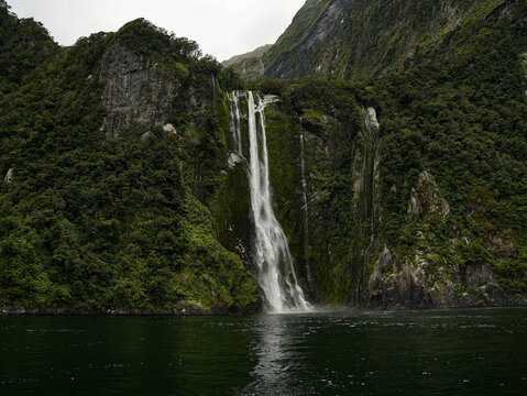 View of the iconic Stirling Falls cascading down lush, moss-covered cliffs into the dark waters of Milford Sound Piopiotahi in Te Anau, Southland Region, New Zealand.