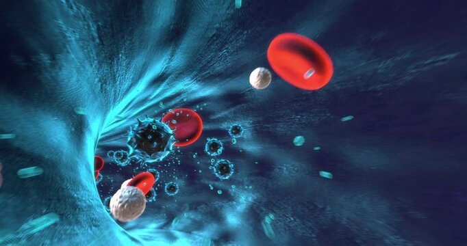 Blood Cells and Virus Particles in a Blue Vessel Animation