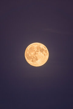 View of the full moon glowing brightly against a dark twilight sky in Vesancy, Auvergne-Rhone-Alpes, France.