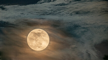 Spooky Moon © Brendan