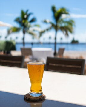 Cold Beer on Table with Tropical Waterfront and Palm Trees in Background