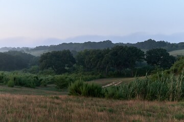 Naklejka premium Misty Morning Landscape with Rolling Hills and Trees