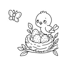 Bird Nest with Eggs, Chick and Butterfly Outline Illustration © Putri