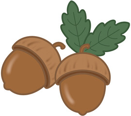 oak tree and acorns © 재원 백