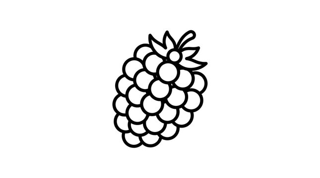 Sketchy Black Raspberry Icon
