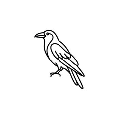 Fototapeta premium Minimalist line art illustration of a crow bird.