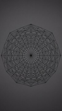 Symmetrical geometric spider web illustration with a complex radial pattern on a neutral gray background.