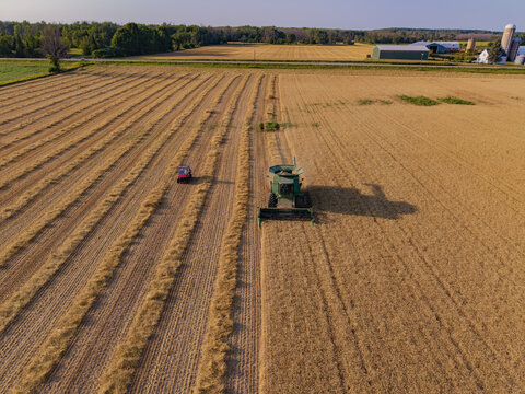 Sturgeon Bay, United States - 29 July 2026: Aerial view of a combine harvester working in a golden wheat field with rows of harvested grain and a small vehicle nearby.