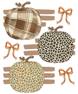 Three pumpkins with different patterns plaid, leopard print, and floral leopard print, with orange bows and brown stripes isolated on transparent background