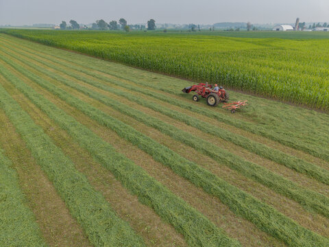Luxemburg, Wisconsin, United States - 19 July 2026: Aerial view of a red tractor cutting hay in a rural field with neat rows of cut grass and lush green cornfields in the background.