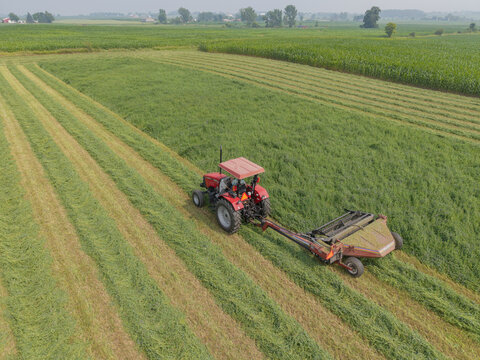 Luxemburg, Wisconsin, United States - 19 July 2026: Aerial view of a red tractor cutting hay in a large field, with rows of cut grass and green crops under a clear sky.
