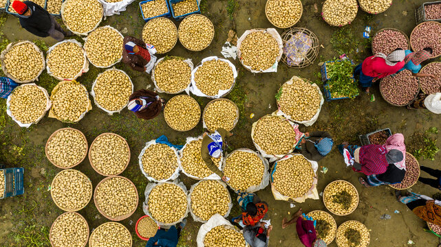 Brahmanbaria, Bangladesh - 20 January 2024: Aerial view of a bustling potato market with numerous baskets filled with potatoes and local workers sorting and trading the harvest.