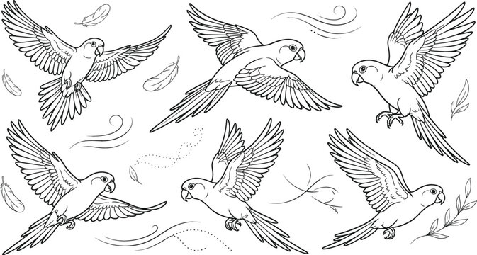 Minimalist black flying parrot illustration vector set for tropical nature doodle graphic design