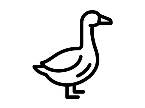Minimalist duck or goose line illustration