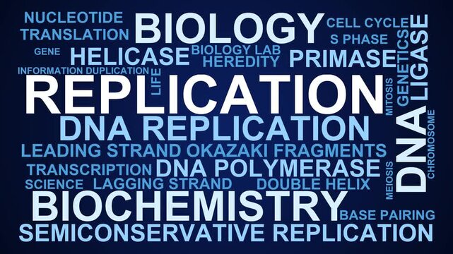 Replication Word Cloud