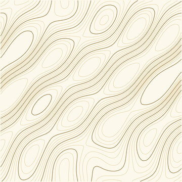 Topographic map contour lines pattern.