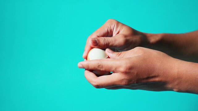 Hands peeling shell off hard-boiled egg against turquoise background