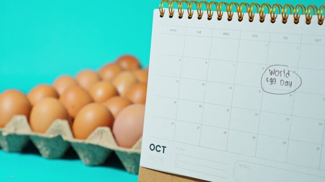 Calendar showing October with "World Egg Day" circled next to carton of fresh brown eggs on turquoise background