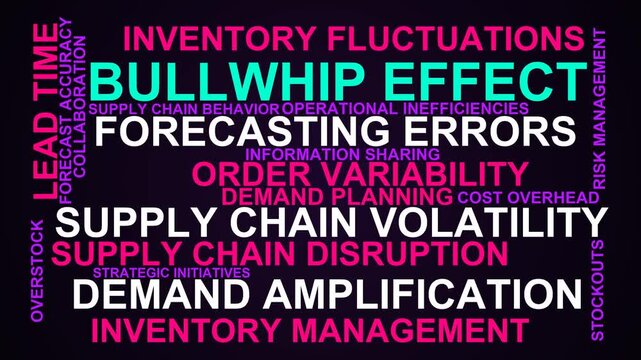 Bullwhip Effect Word Cloud