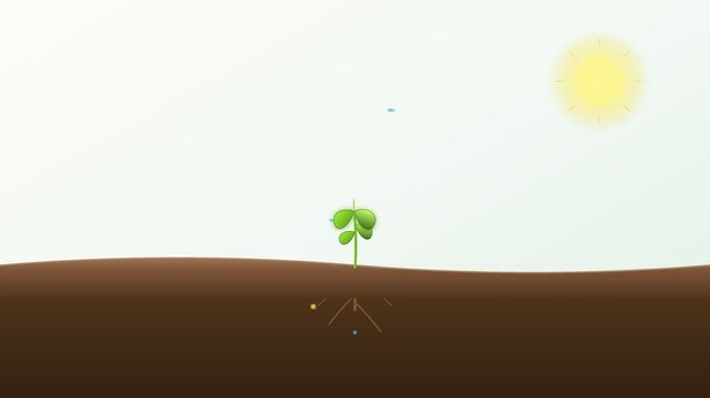 Growing green sprout with visible roots under bright sun animation video footage clip