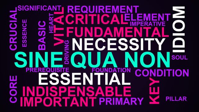 Sine Qua Non Word Cloud