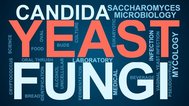 Yeast Fungi Word Cloud