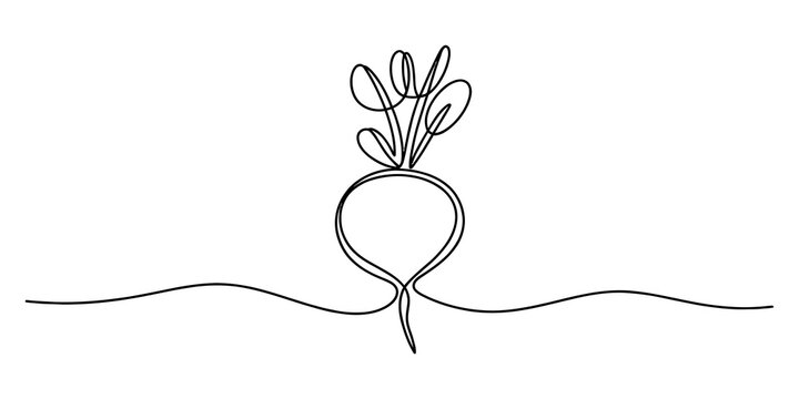 Continuous single line drawing of a fresh radish vegetable with green leaves isolated on transparent background