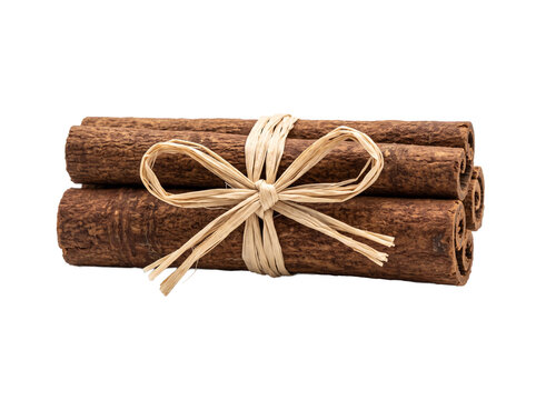 Cinnamon sticks tied with raffia bow isolated on transparent