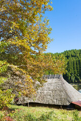 茅葺屋根と紅葉（大分県九重町） © takafumi99999