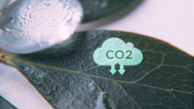 Co2 emission reduction icon on green leaf for environmental