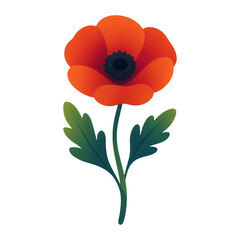 Fototapeta premium PNG Vibrant poppy flower illustration